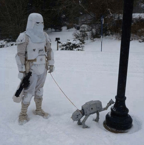 Snowtroopers 1