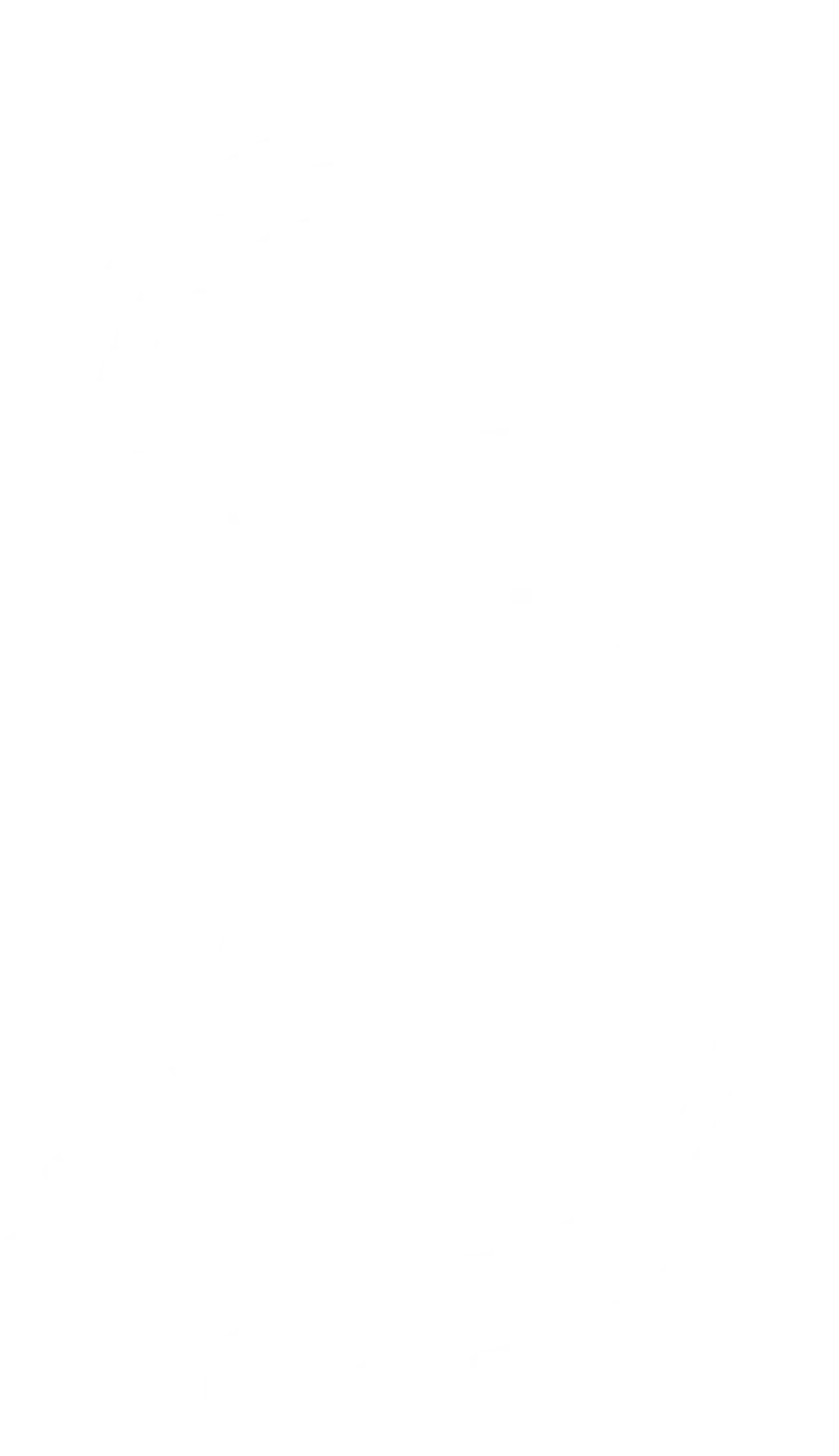 TheFifthTrooper